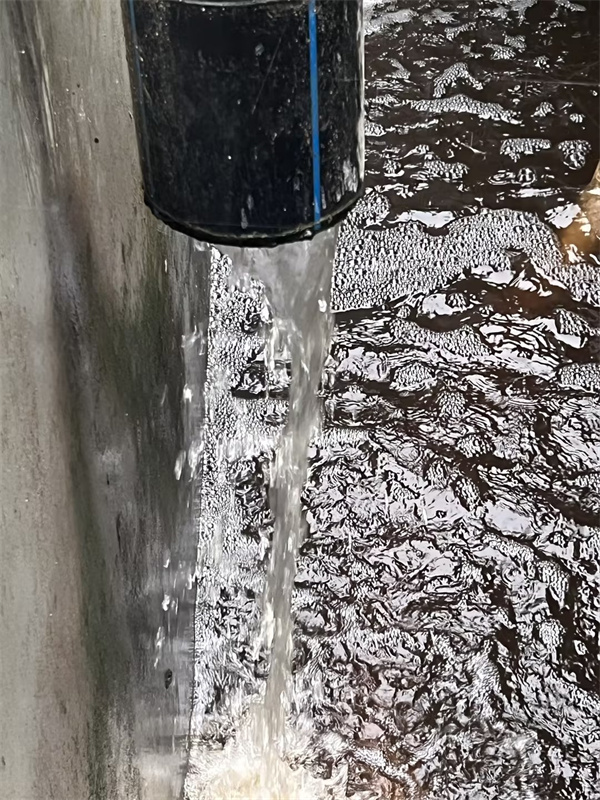 1695384078669756.jpg 03.jpg